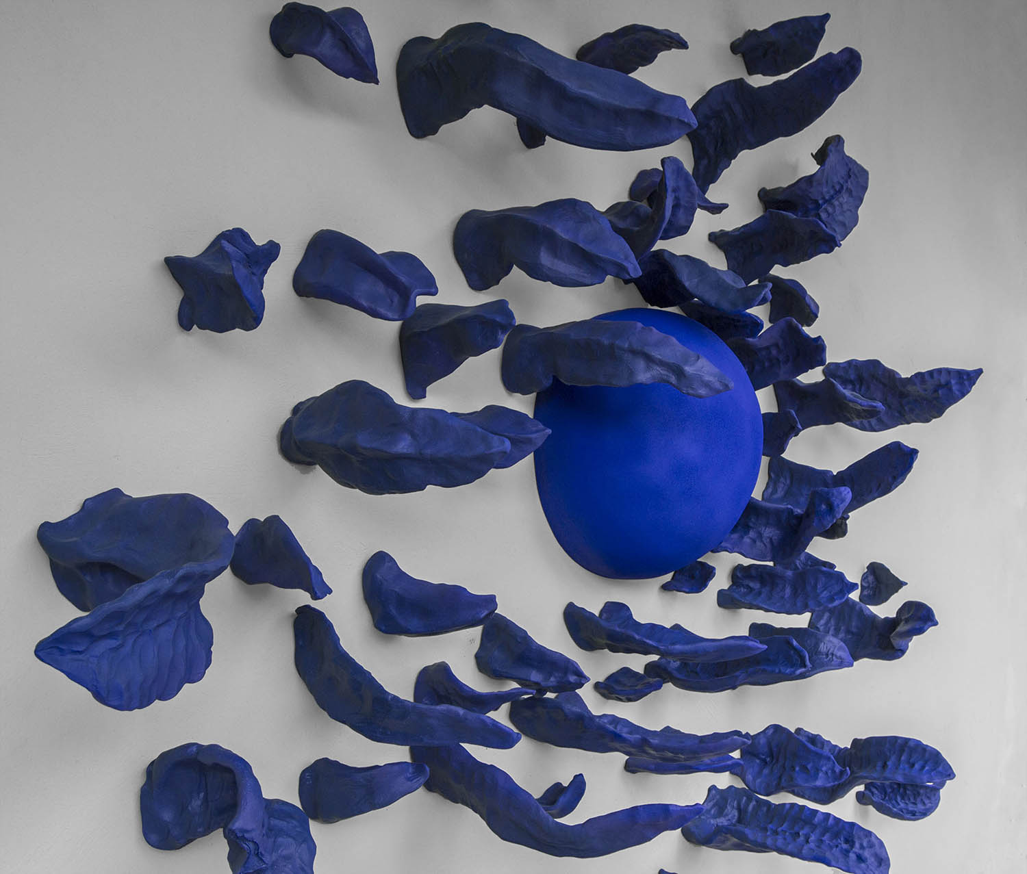 La luna escondida es una flor azul
